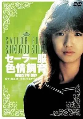 动漫美女长谷川汐海街灯塔治愈角色图